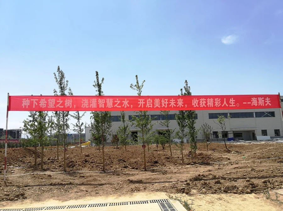 1590044875716525_ 1590044875716525_