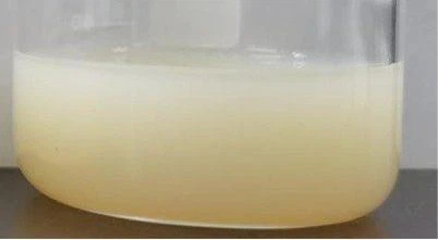 HSF Liposomal Vitamin C HSF Liposomal Vitamin C