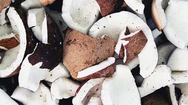 Coconut MCT