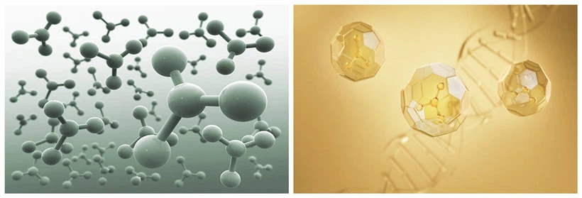 Molecular Structure Molecular Structure