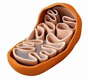 info-286-262 info-286-262