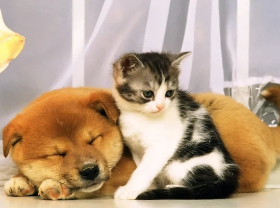 product-776-577 product-776-577