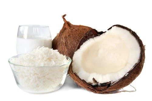 Coconut Oil Powder
